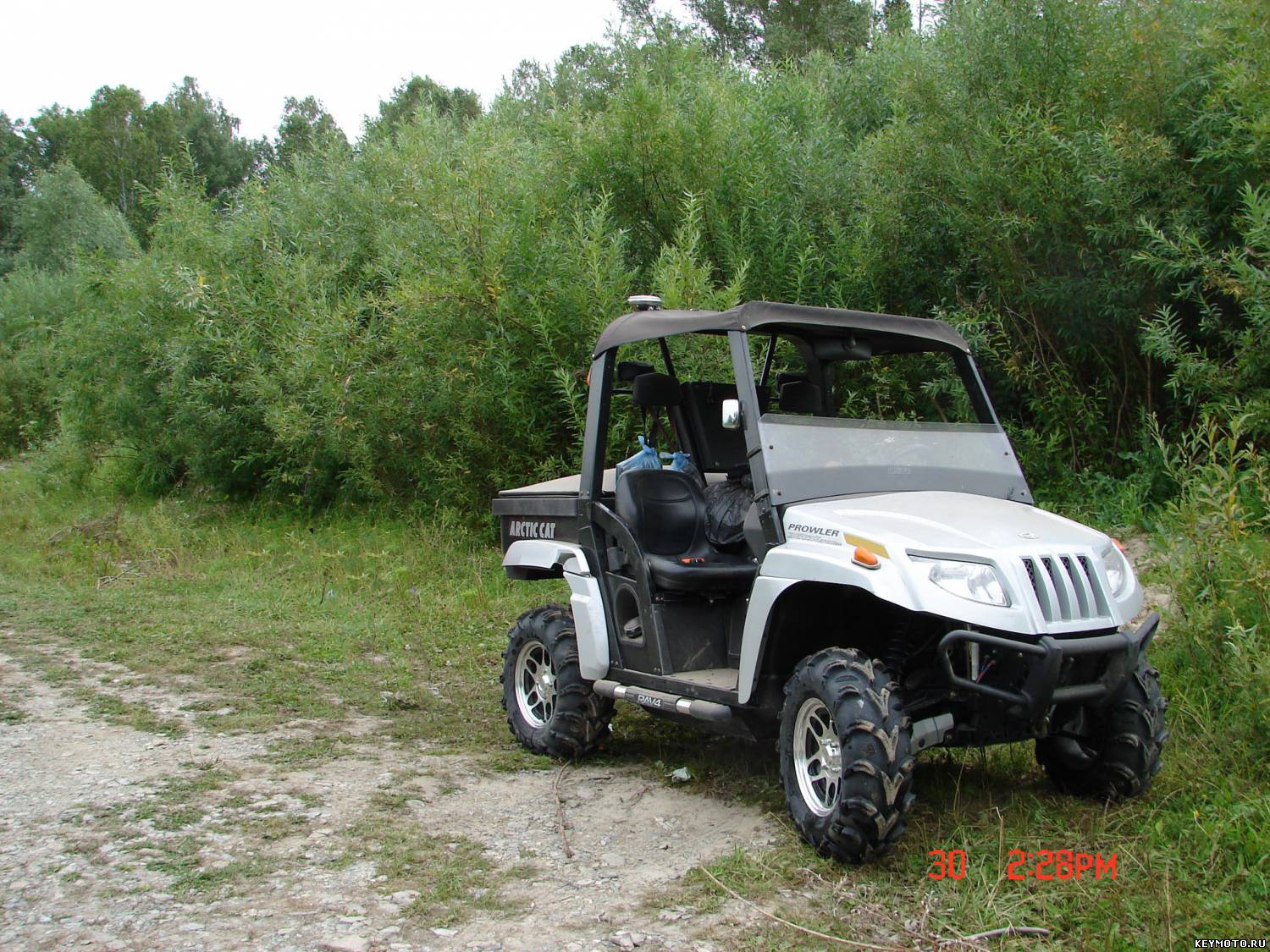 Arctic Cat - Prowler